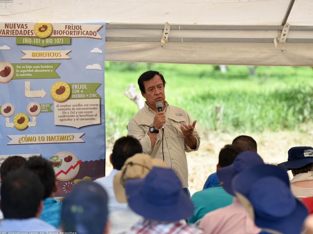 យុទ្ធសាស្ត្រដែលមានប្រសិទ្ធភាពសម្រាប់ការទំនាក់ទំនងនិងគាំទ្រ